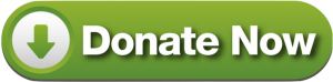 Donate Now Button